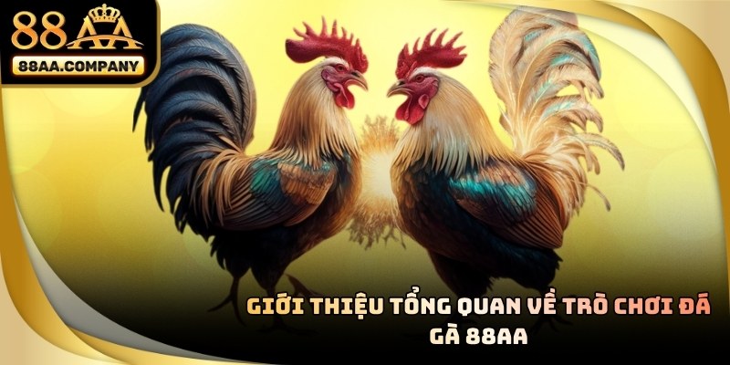 Thành viên quan sát trận đấu và chọn cặp gà phù hợp chiến lược
