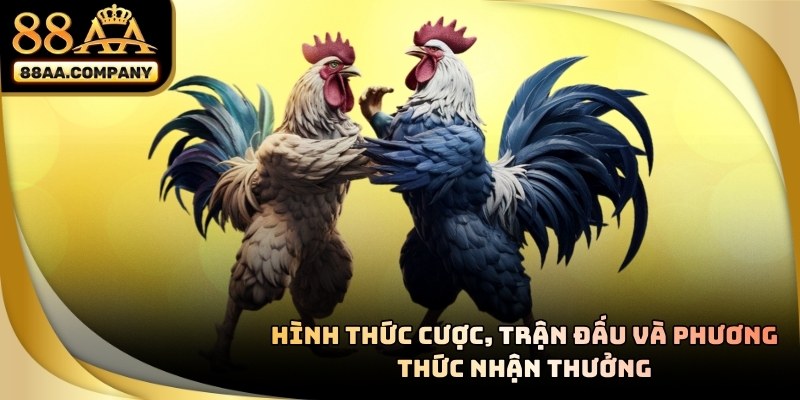 Theo dõi kết quả trực tiếp trên hệ thống để quản lý vốn hiệu quả tại đá gà 88AA