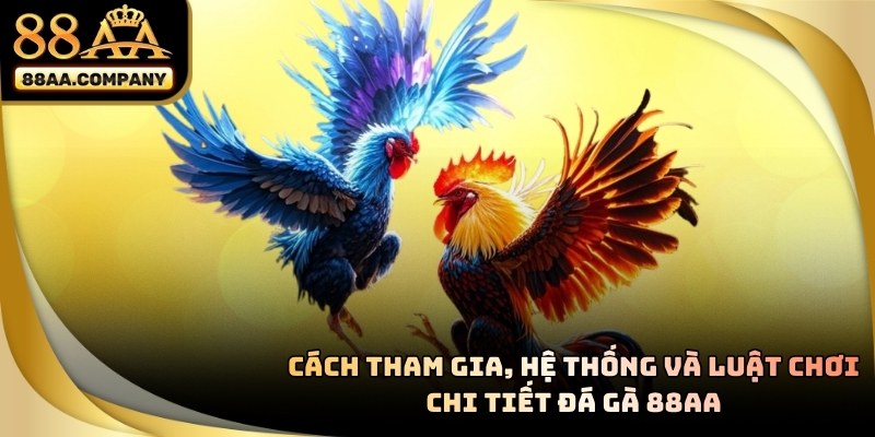 Các hình thức cược đa dạng giúp tối ưu cơ hội thắng thưởng