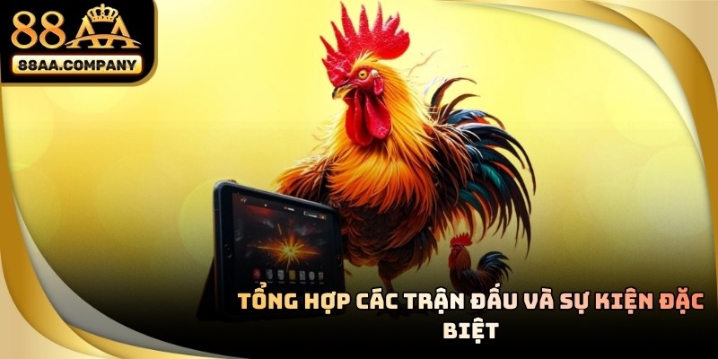 Nhận thưởng nhanh chóng sau khi trận đấu kết thúc minh bạch tại đá gà 88AA