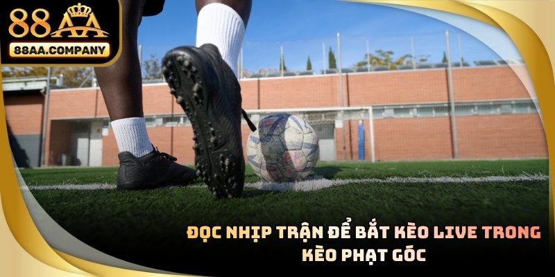 Biểu đồ biến động số góc theo từng phút trong trận đấu